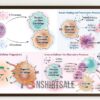 Colorful Brain Anatomy Diagram Poster, Educational Neuroscience Wall Art