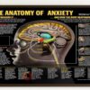 This Is Your Brain on Piano Poster, Educational Music And Neuroscience Wall Art This Is Your Brain on Piano Poster, Educational Music And Neuroscience Wall Art