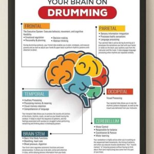Your Brain On Drumming Poster, Educational Wall Art About Brain Function And Music
