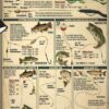 American Lion Poster, Prehistoric Panthera leo atrox with Skeleton and Facts