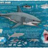 Vintage WPA Poster, Pneumonia Strikes Like a Man-Eating Shark – Public Health Campaign Art Print