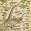 Sheep Breeds Poster, Guide to Suffolk, Cotswold, and Cameroon Sheep with Fun Facts